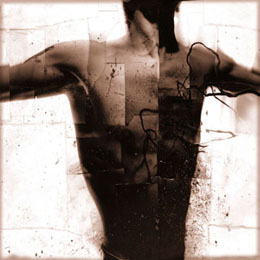 Culture Written on the Body