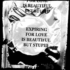 Jenny Holzer, Expiring for love is beautiful but stupid